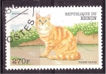 Stamps Benin -  serie- Gatos