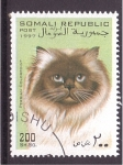 Stamps Somalia -  serie- Gatos