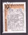 Sellos de Europa - Bulgaria -  serie- Gatos