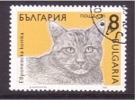 Sellos de Europa - Bulgaria -  serie- Gatos
