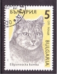 Stamps : Europe : Bulgaria :  serie- Gatos