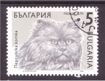 Stamps Bulgaria -  serie- Gatos