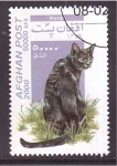 Stamps Afghanistan -  serie- Gatos