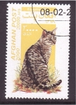 Stamps : Asia : Afghanistan :  serie- Gatos