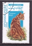 Stamps : Asia : Afghanistan :  serie- Gatos