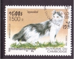 Stamps Cambodia -  serie- Gatos