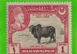 Sellos del Mundo : Asia : Pakistan : agricultura y ganaderia