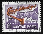 Stamps Hungary -  Cuando conduzca no beba