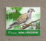 Sellos del Mundo : Europe : Bosnia_Herzegovina : Aves del valle del Neretva