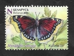 Sellos de Europa - Bielorrusia -  974 - Mariposa
