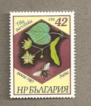 Sellos de Europa - Bulgaria -  Tilia parviflora