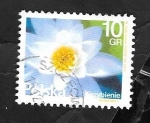 Stamps : Europe : Poland :  4437 - Nenúfar