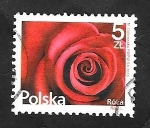 Sellos de Europa - Polonia -  4438 - Rosa