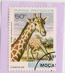 Sellos de Africa - Mozambique -  jirafa