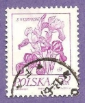 Stamps Poland -  INTERCAMBIO