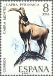 Stamps Spain -  ESPAÑA 1971 2040 Sello Nuevo Fauna Hispanica Cabra Montes Capra Pyrenaica