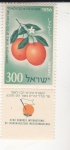 Sellos de Asia - Israel -  FRUTA