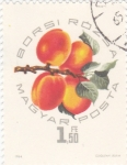 Stamps : Europe : Hungary :  FRUTA-