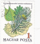 Stamps Hungary -  UN MILLON DE HECTAREAS DE BOSQUE