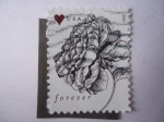 Stamps United States -  Flor 
