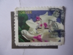 Stamps United States -  Flores de Invierno - Orquidea.