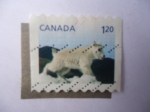 Stamps Canada -  Cérvido.
