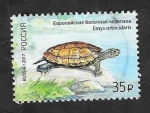 Stamps Russia -  Tortuga, emysorbicularis
