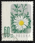 Sellos de Europa - Polonia -  Flores