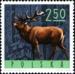 Stamps Poland -  Animales