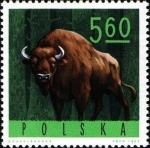 Stamps Poland -  Animales