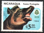 Stamps Nicaragua -  FAUNA  PROTEGIDA  DANTO  MOSTRANDO  SU  DENTADURA