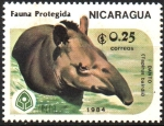 Sellos de America - Nicaragua -  FAUNA  PROTEGIDA  DANTO  EN  EL  AGUA