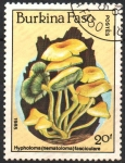 Stamps Burkina Faso -  HYPHOLOMA  FASCICULARES