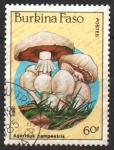 Stamps Burkina Faso -  AGARICUS  CAMPESTRIS