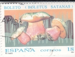 Stamps : Europe : Spain :  SETAS-BOLETUS (30)