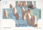 Stamps Spain -  SETAS-COPRINUS COMATUS (30)