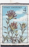 Stamps : Europe : Spain :  FLORA- Thymua Longiflorus (30)