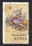 Stamps : Africa : Kenya :  Moluscos del Mar