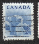 Stamps : America : Canada :  Semana Nacional de la Vida Silvestre de 1953