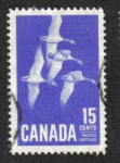 Stamps : America : Canada :  Gansos de Canadá