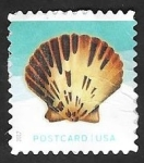 Stamps America - United States -  Concha marina