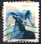 Stamps United States -  BORREGO  DE  CUERNO  GRANDE  O  CIMARRON