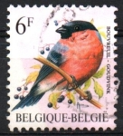 Stamps Belgium -  AVES.  BOUVREUIL.
