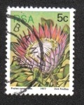 Stamps South Africa -  Sugarbushes