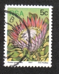 Stamps : Africa : South_Africa :  Sugarbushes