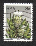 Stamps : Africa : South_Africa :  Sugarbushes