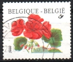 Stamps Belgium -  FLOR  DE  GERANIO