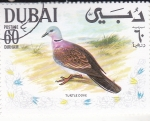 Sellos de Asia - Emiratos �rabes Unidos -  AVE- TORTOLA