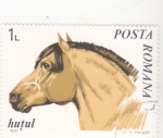 Stamps Romania -  CABALLO- HUTUL
