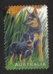 Sellos de Oceania - Australia -  Mascotas